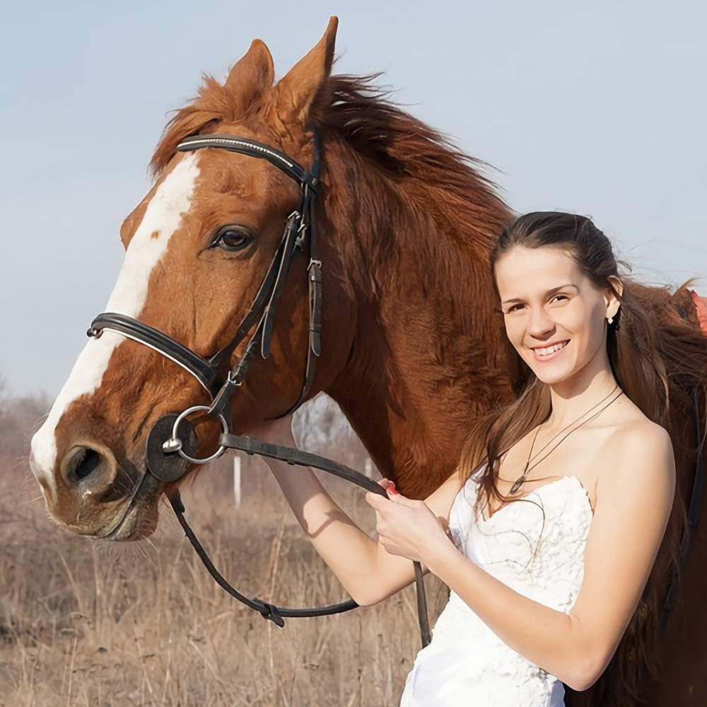 Horse Gifts for Girls - Stainless Steel Heart Initial A-Z Necklace, Dainty Jewelry for Women, Teen Girls, Horse Lovers